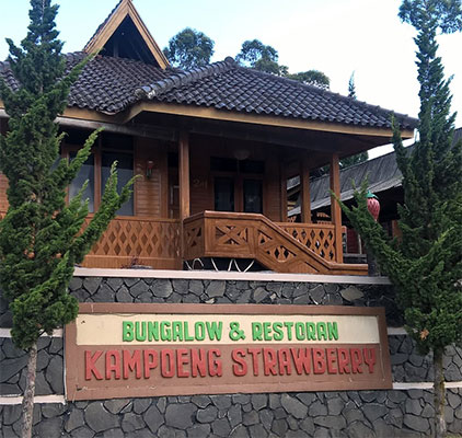 Kampung Strawberry